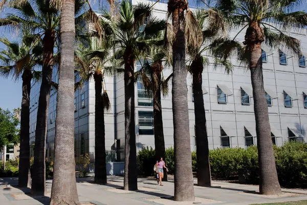 Caltech Ends Cybersecurity Bootcamp Partnership Following Class-Action Lawsuit
