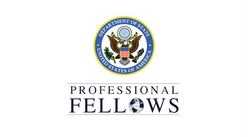 Professional Fellows Program (PFP) in USA 2026