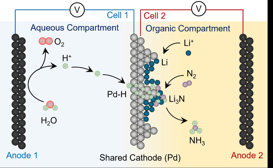 Scientists Develop Sustainable Method to Produce Nitrogen Fertilizer
