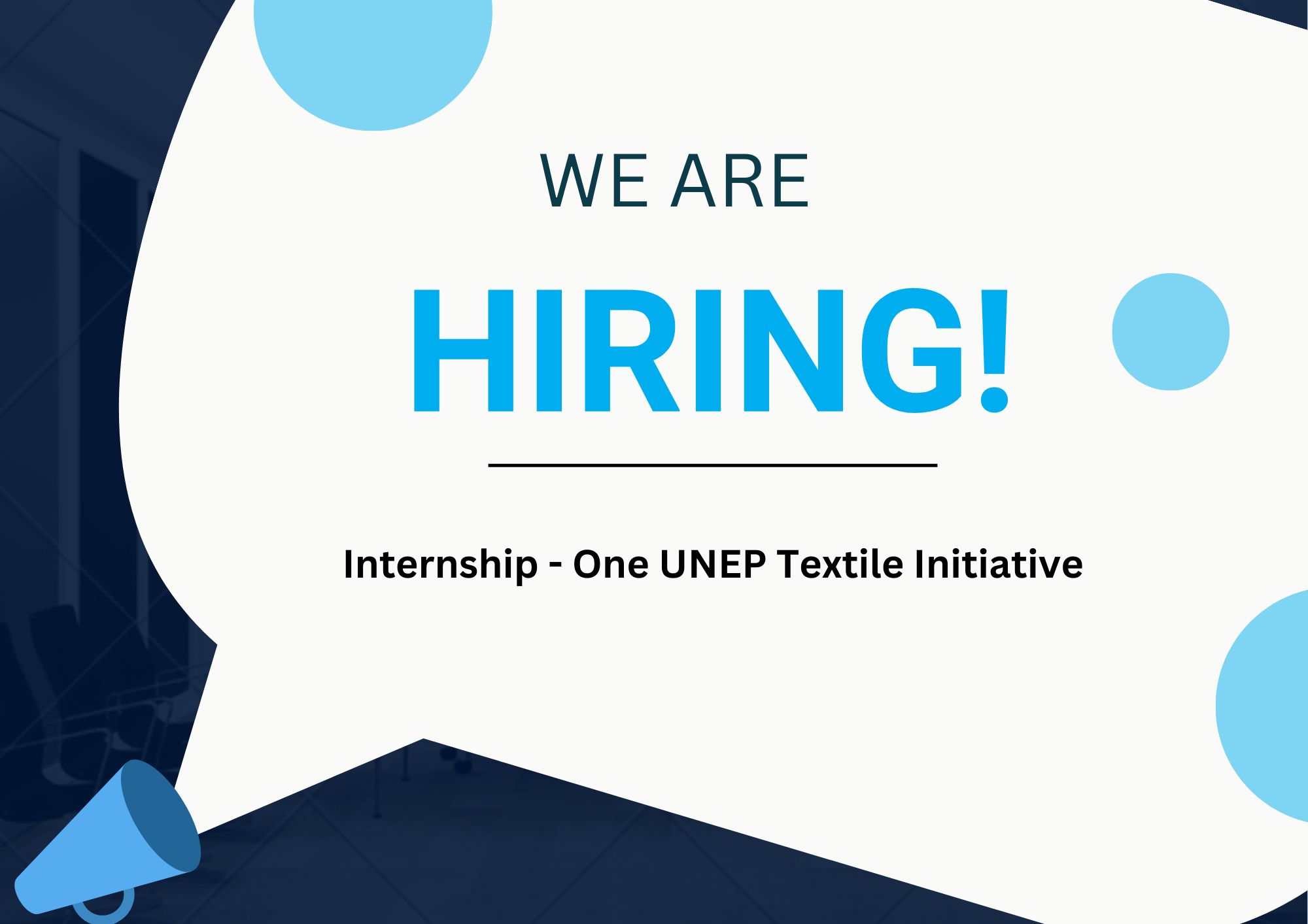 UNEP Textile Initiative Internship (Remote)