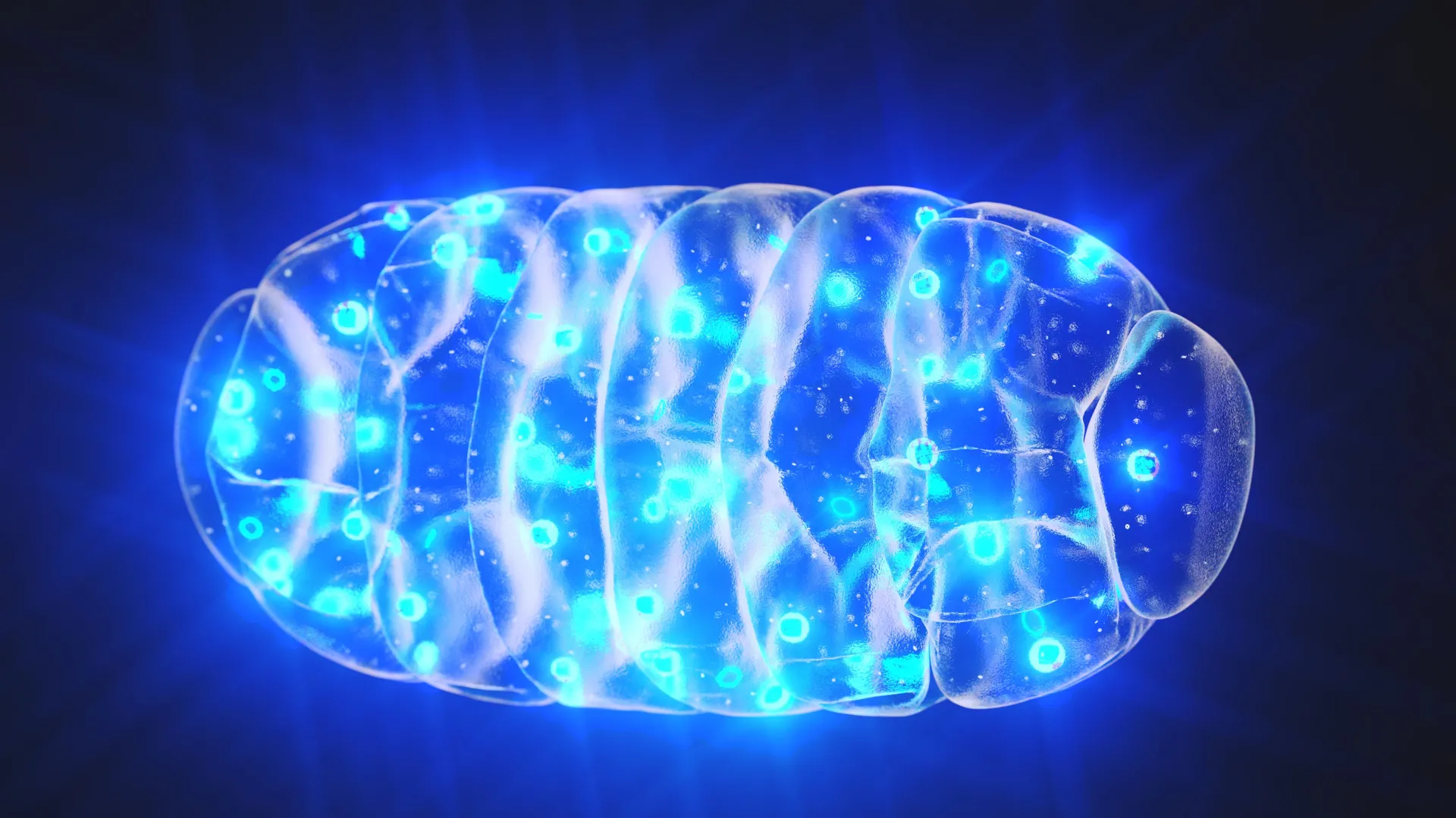 Boosting the Brain’s Energy Centers Restores Memory