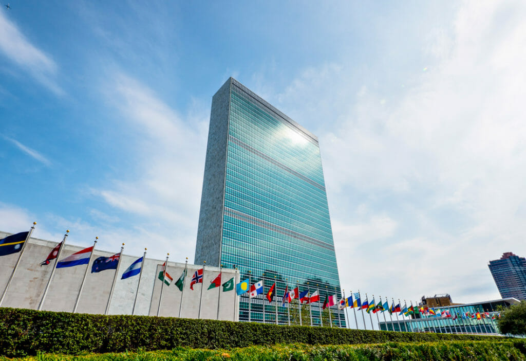 WIMUN 2025 Program Assistant Internship 2025