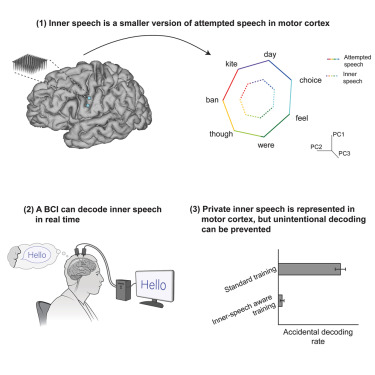 Scientists Develop Interface That Can ‘Read’ Thoughts