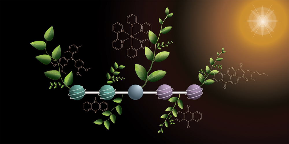 Scientists Create Molecule That Brings Artificial Photosynthesis Closer to Reality