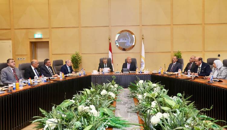 Egypt and Czech Republic Strengthen Higher Education Collaboration