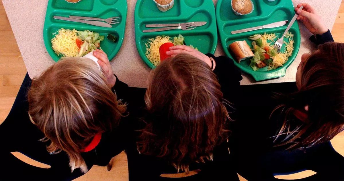 Czech Ministry of Education Introduces Comprehensive Overhaul of School Meal Standards