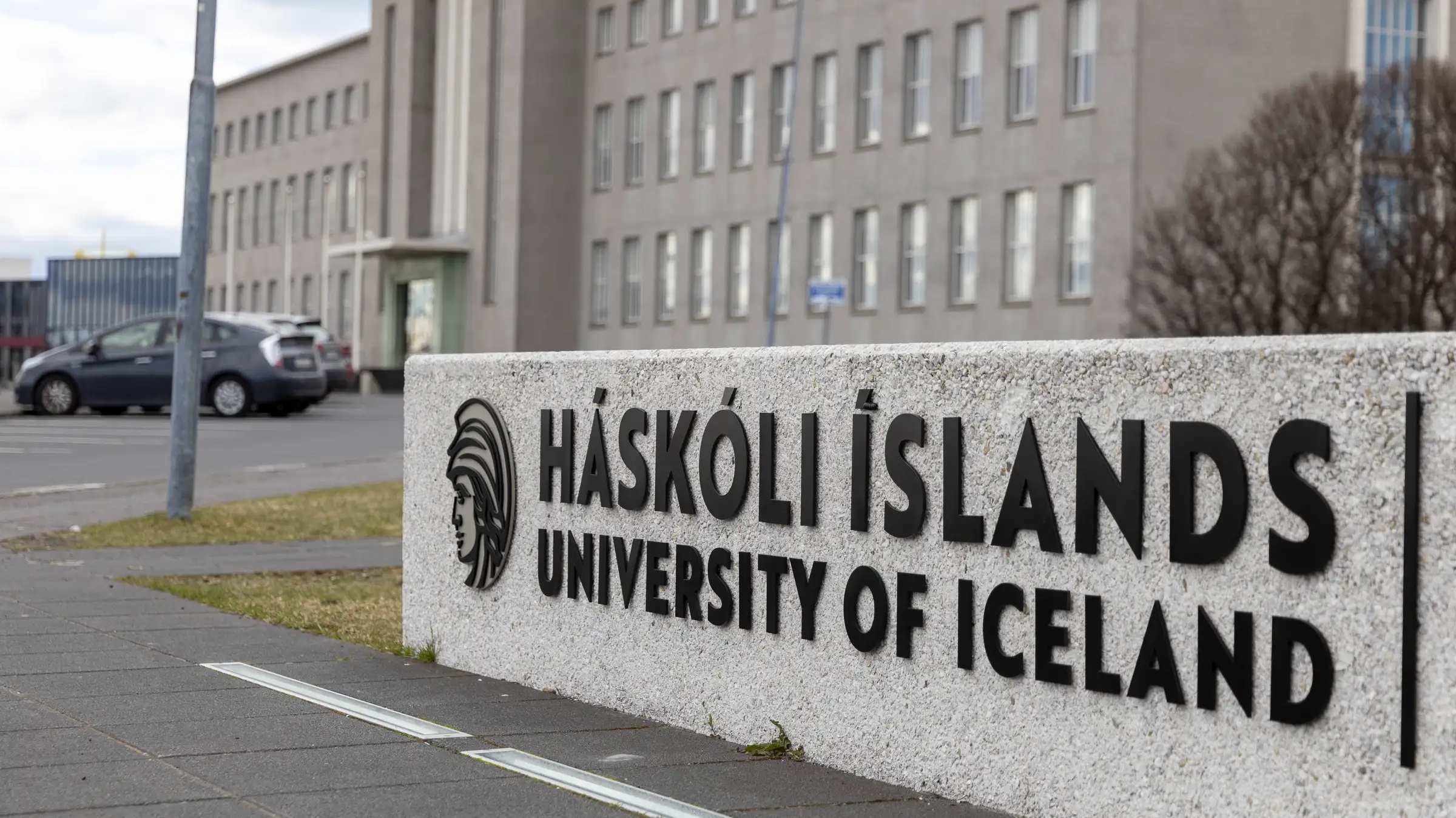 Amid Spike in Foreign Student Applications, Iceland Seeks Tougher Immigration Rules