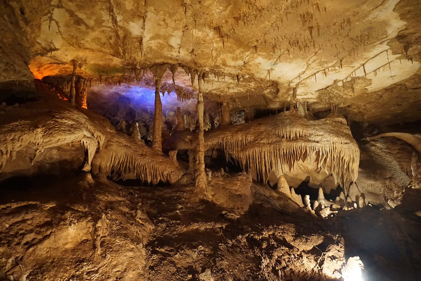 100,000 old Ice age creatures' fossils were discovered in Texas cave 