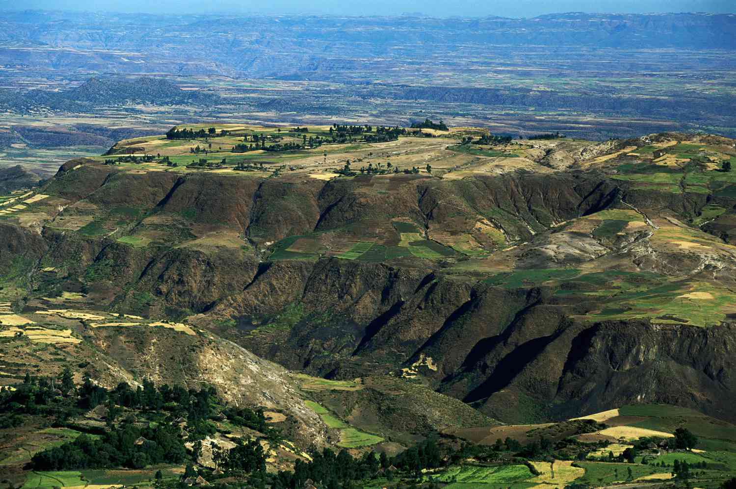 Scientists predict the creation of a new tectonic plate