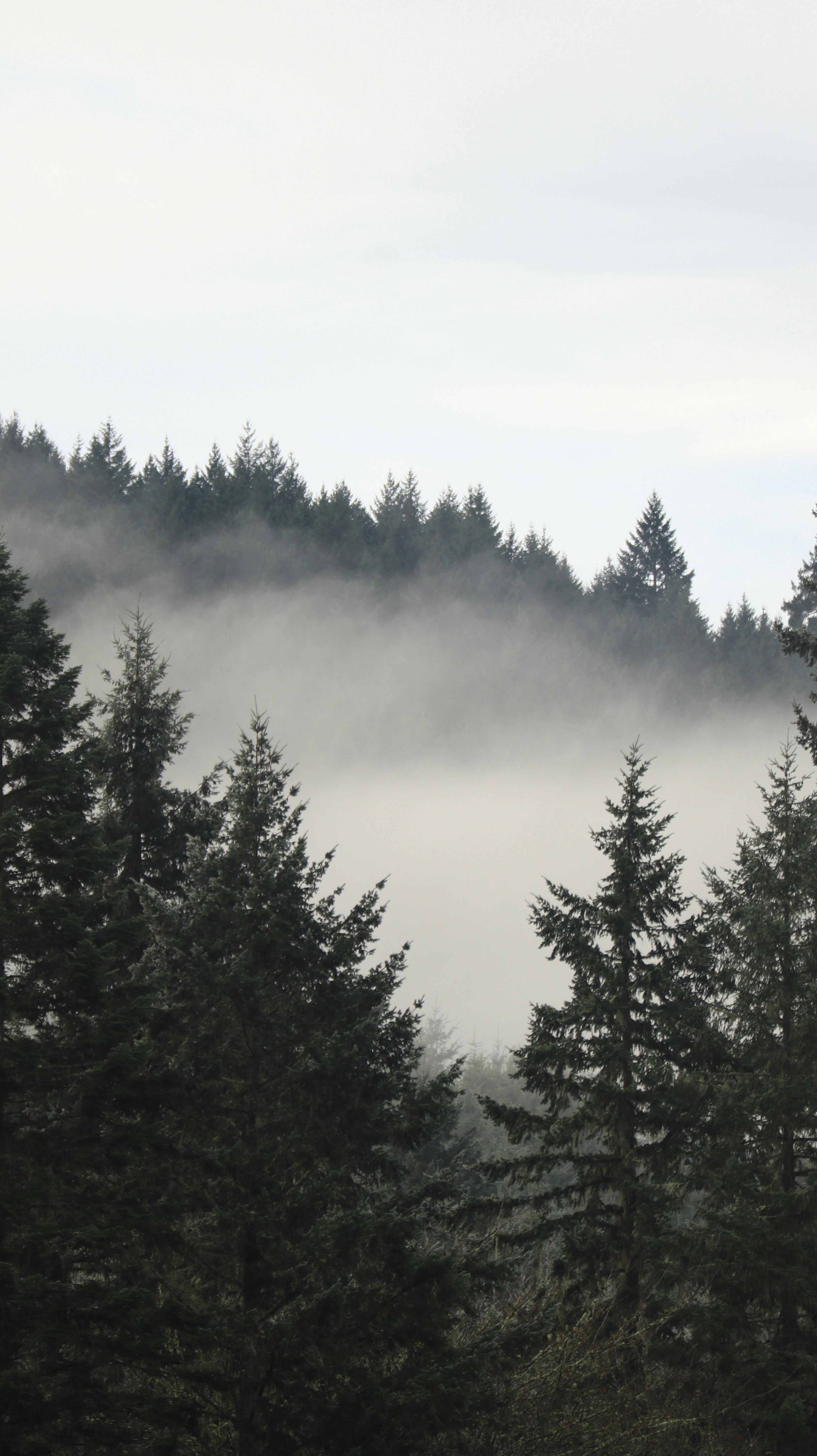 Scientists discover life in fog 
